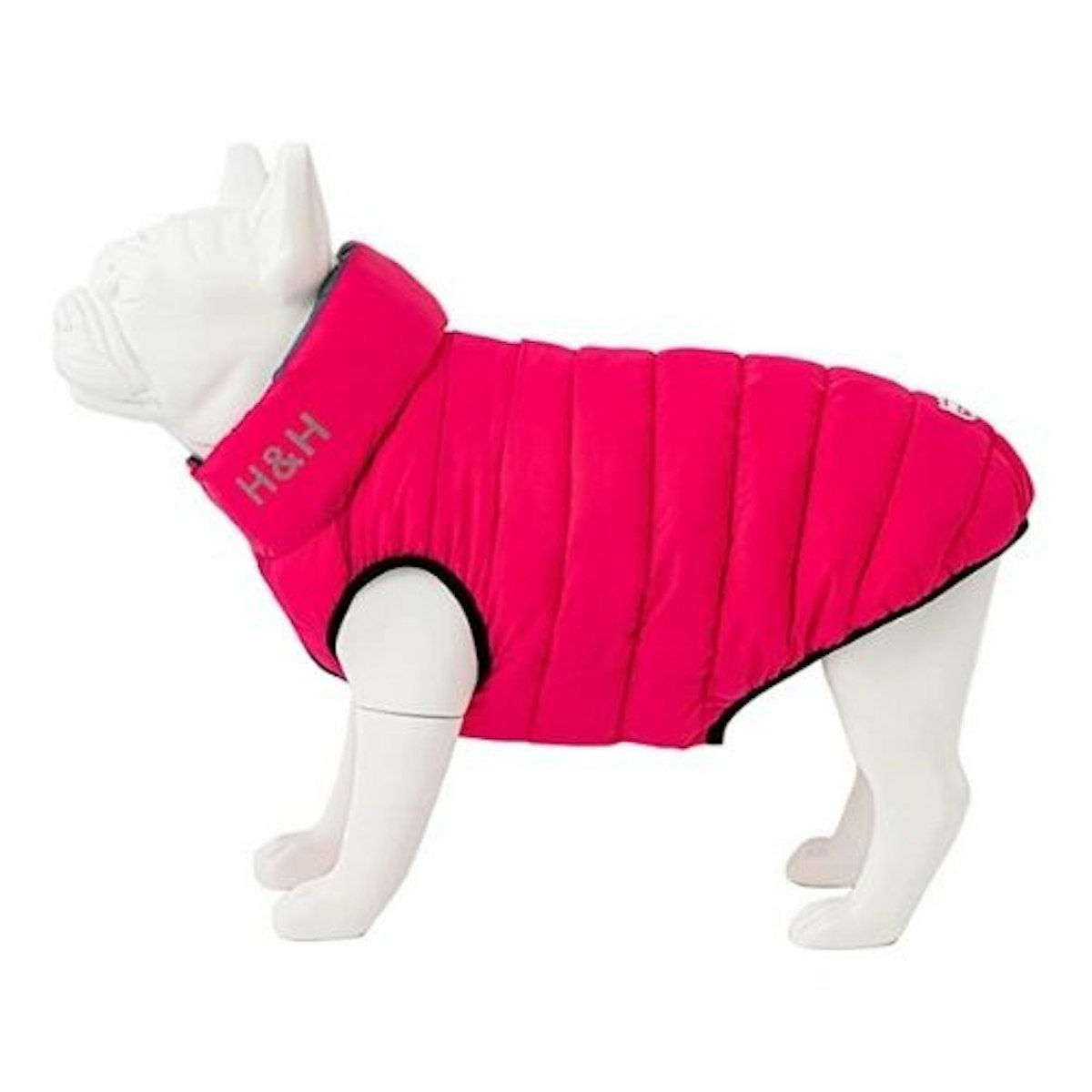 Best Aldi Dog Coats 2022